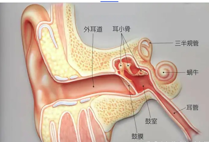 新澳门全年免费原料网